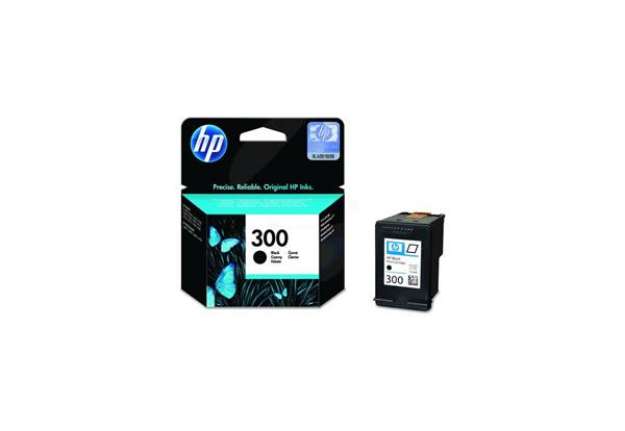 Immagine di Cartuccia inkjet con inchiostro Vivera 300 HP nero CC640EE