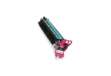 Immagine di Fotoconduttore Epson magenta  C13S051176