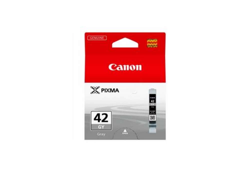 Immagine di Serbatoio inchiostro CLI-42 GY Canon grigio 6390B001