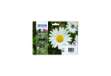 Immagine di cartucce inkjet Margherite 18 Epson n+c+m+g Conf. 4 - C13T18064012
