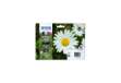 Immagine di cartucce inkjet alta capacità Margherite 18XL Epson n+c+m+g Conf. 4 - C13T18164012
