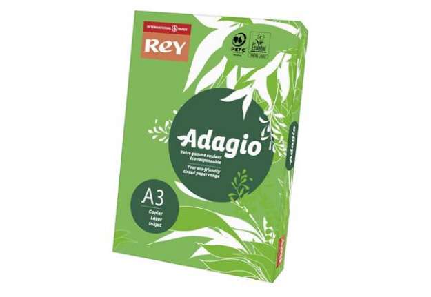 Immagine di Carta colorata A3 Sylvamo Rey Adagio 160 g/m² verde intenso 52 - Risma da 250 fogli - ADAGI160X500
