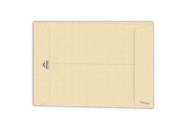 Immagine di Buste a sacco con soffietto Pigna Envelopes Multi Strip Large 23+4 x 33 cm avana Conf. 250 pezzi - 0