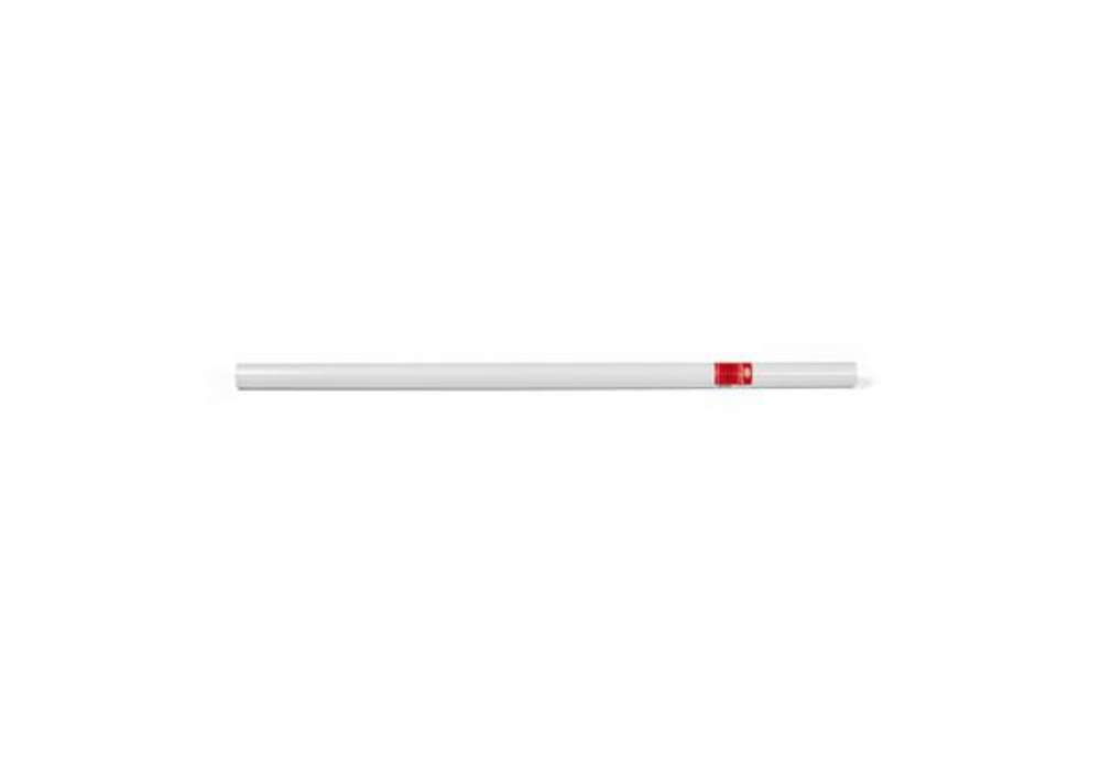 Immagine di Rotolo carta da regalo Rex-Sadoch Kraft 100x500 cm - 80 g/m²  - bianco CKRW5