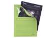 Immagine di Cartelline con finestra Exacompta Forever® A4 cartoncino 120 g/m² verde chiaro  conf. da 100 - 50107