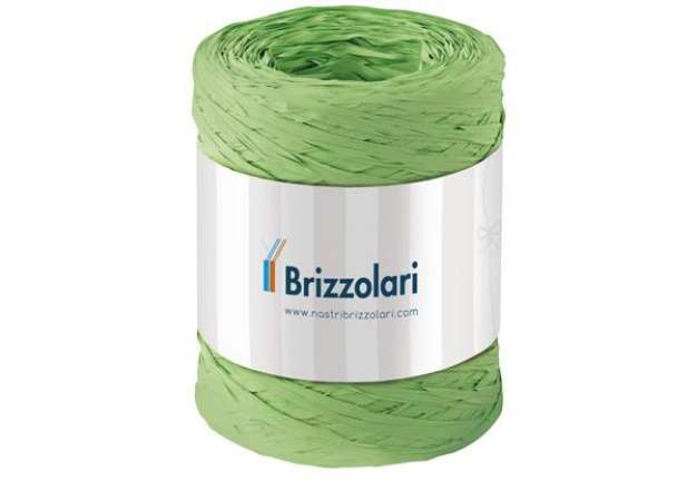 Immagine di Nastro in rafia sintetica Brizzolari 5 mm x 200 mt verde 6802.10