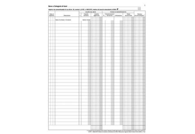 Immagine di Registro Beni Ammortizzabili data ufficio - 100 pag - 31x24,5 cm DU136826000