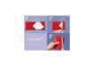 Immagine di Porta mascherina FFP2/KN95 Sei Rota Your Mask 2 - colori assortiti P00102
