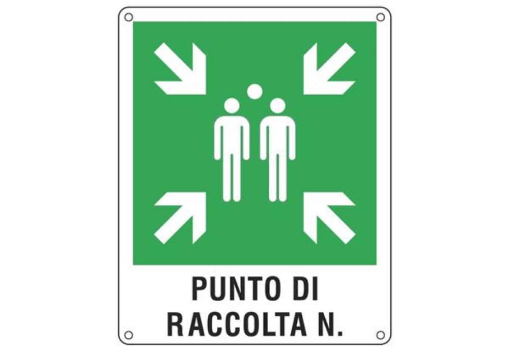 Immagine di Cartello d'emergenza 40x50 cm Cartelli Segnalatori ''Punto di raccolta'' E20171Y
