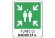 Immagine di Cartello d'emergenza 40x50 cm Cartelli Segnalatori ''Punto di raccolta'' E20171Y