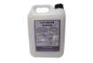 Immagine di Detergente lavamani bianco Ecochem 5 lt  071011QL005A939