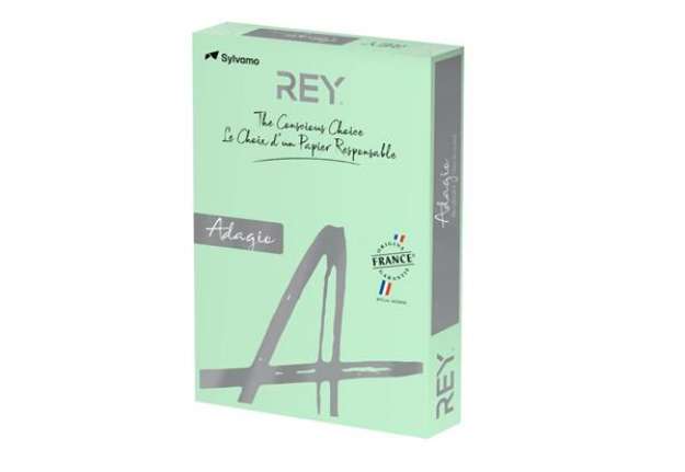 Immagine di Carta colorata A4 Sylvamo Rey Adagio 160 g/m² verde - Risma da 250 fogli - ADAGI160X456