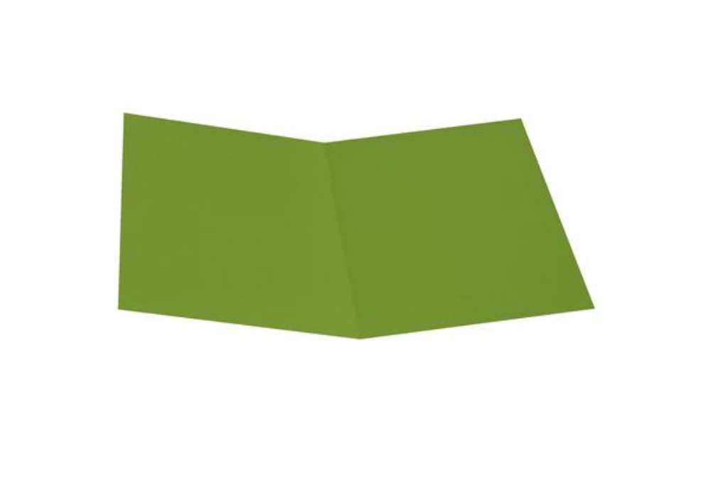Immagine di Cartellina semplice - 200 gr - A4 - cartoncino bristol - verde nilo - Starline - conf. 50 pezzi