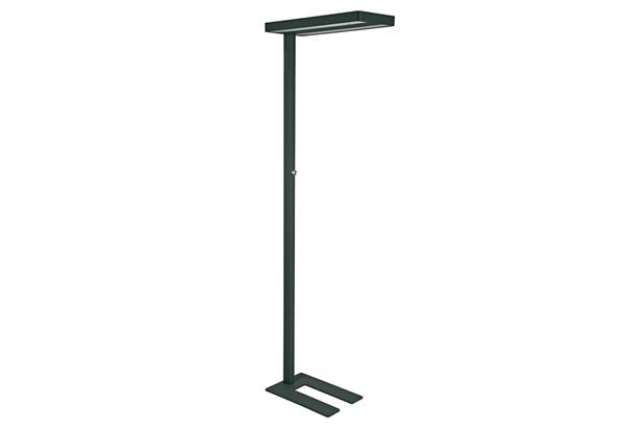 Immagine di Lampada piantana a LED dimmerabile Javal Maul nero Z810043