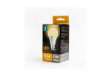 Immagine di Lampadina LED A60 E27 12W - 1170 lumen Aigostar luce calda B10105MQE