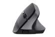 Immagine di Mouse ergonomico wireless Bayo II - Trust