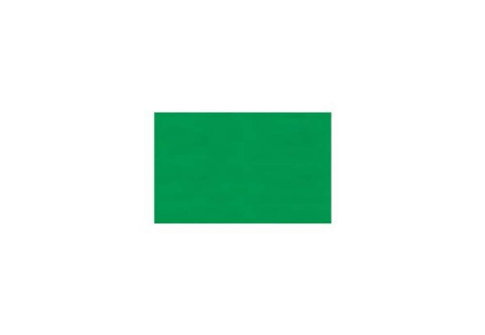 Immagine di Carta velina Rex-Sadoch 50x70 cm conf. da 26 fogli verde prato - KV106472