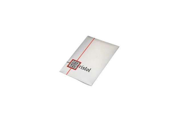 Immagine di Plichi Blasetti 10 biglietti più 10 buste - conf. 50 pz - 80 g 75x112 mm 583