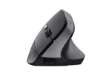 Immagine di Mouse ergonomico wireless TM-270 - nero - Trust
