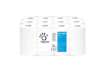 Immagine di Asciugamani in Rotolo a devolgimento Papernet - 163 strappi - 2 veli - 21,4x35 cm - Conf. 12 pezzi -