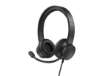 Immagine di Cuffie on-ear Trust HS-201 USB 2.0 nero - cavo 1,8 m 25373
