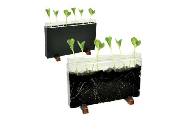 Immagine di Contenitore Esplora il sottosuolo - 30 x 19 x 4 cm - Cwr