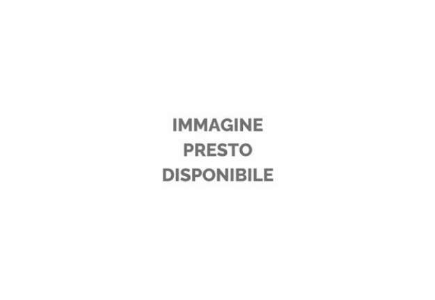 Immagine di Fogli da disegno Fabriano F5 - 50 fogli 50x70 grana fine - 160 g - 30160119
