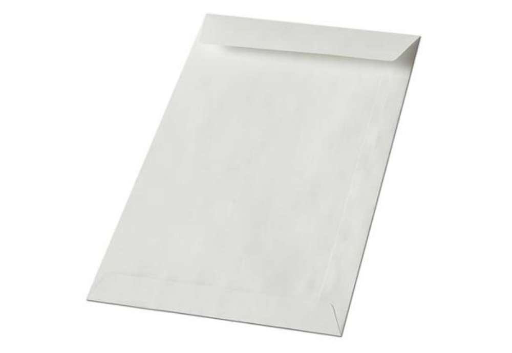 Immagine di Busta a sacco Blasetti Kraft bianco non gommata 60 g/m2 in conf. 1000 buste 130x180 mm - 311
