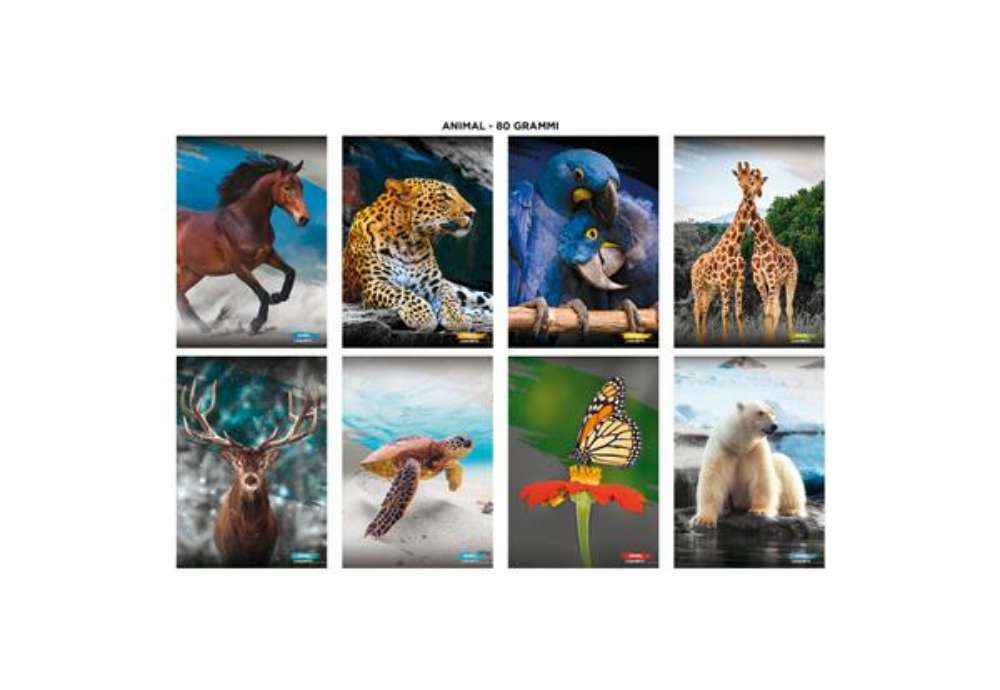 Immagine di Maxi quaderno Blasetti Animal Cut A4 - 80 g/m² - 20 ff - 1R - conf. 10 pezzi - 9241