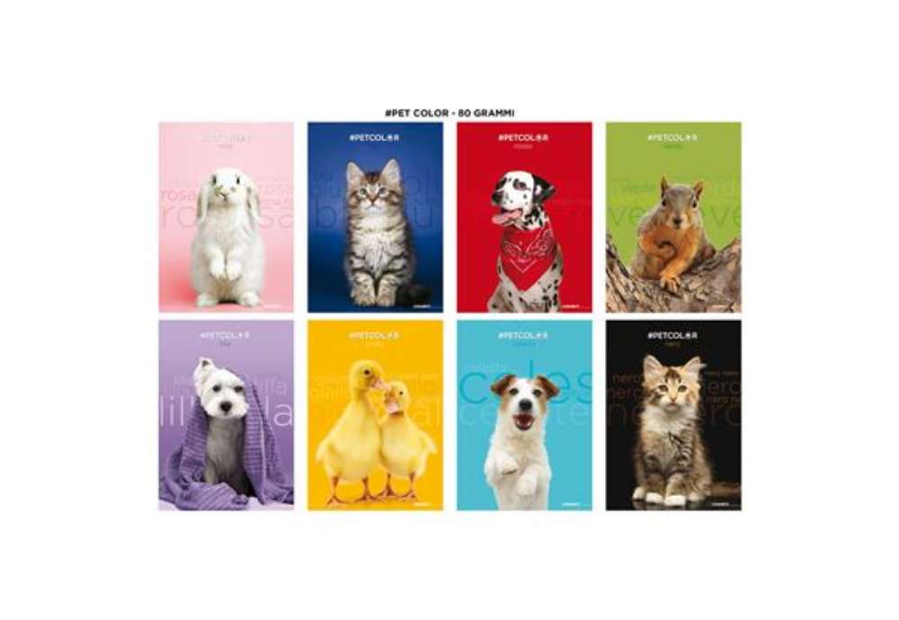 Immagine di Maxi quaderno Blasetti Best Friends A4 - 80 g/m² - 20+1 ff - 5M - conf. 10 pezzi - 9219