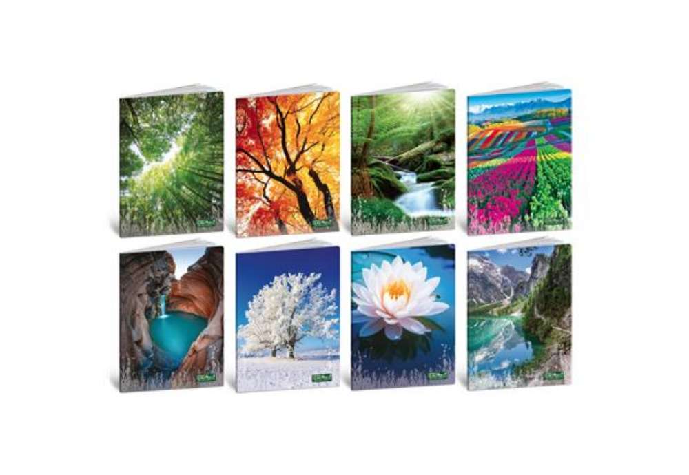 Immagine di Maxi quaderno Blasetti Quadecò A4 - 80 g/m² - 20 ff - 5M - conf. 10 pezzi - 4771