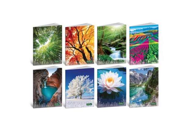 Immagine di Maxi quaderno Blasetti Quadecò formato A4  carta 80 g conf. 10 pezzi rigatura Q - 4793