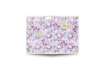 Immagine di Maxi quaderno Pigna Nature Flowers A4 - 80 g/m² - 42 ff - 5M - assortiti - 02298855M